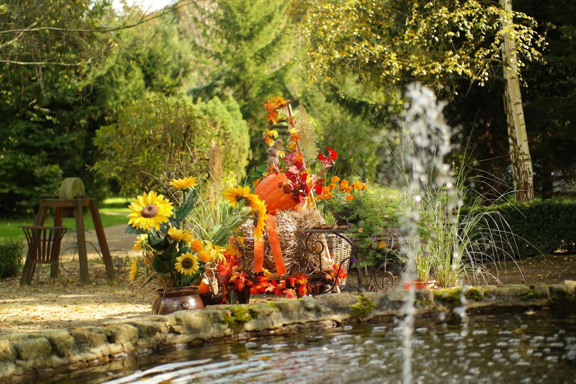 Harzer Feriengarten Quedlinburg Luaran gambar