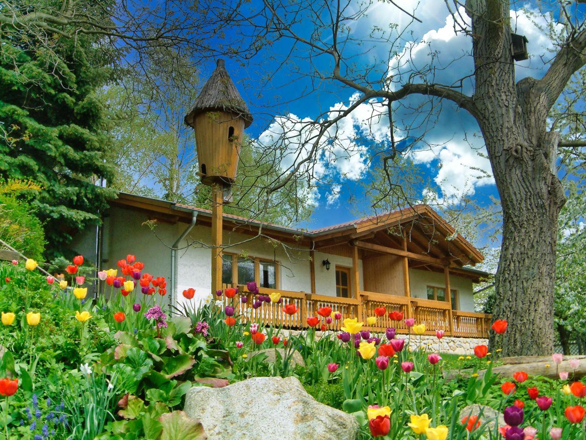 Harzer Feriengarten Quedlinburg Luaran gambar